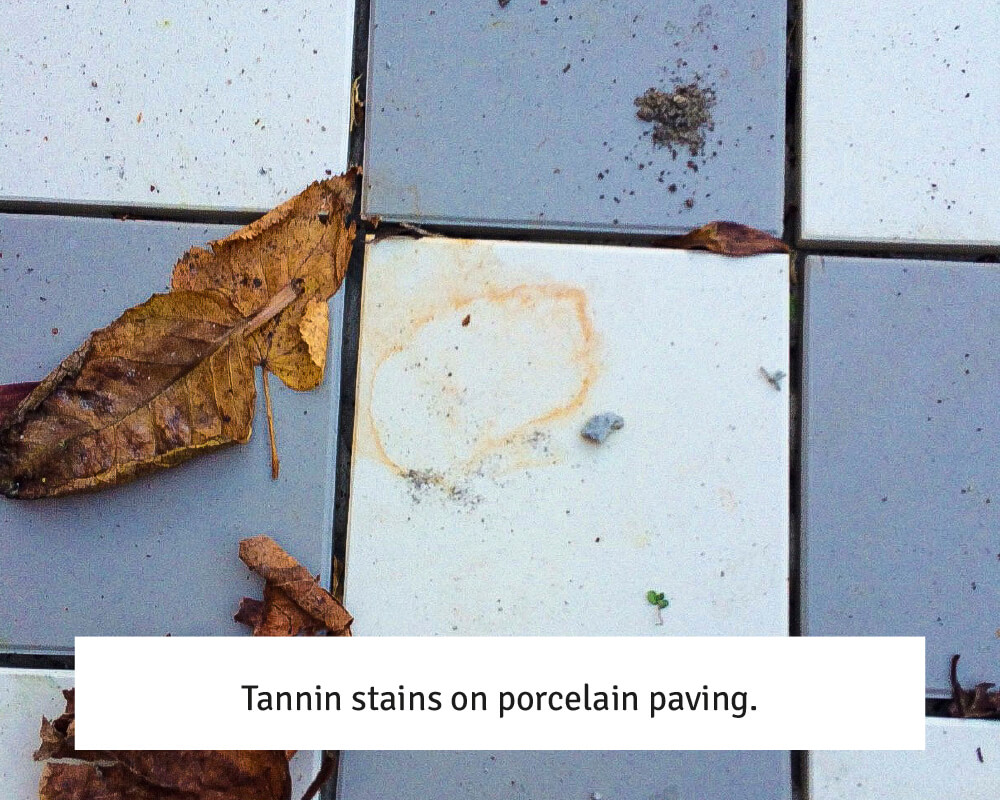 Tannin stains on porcelain paving