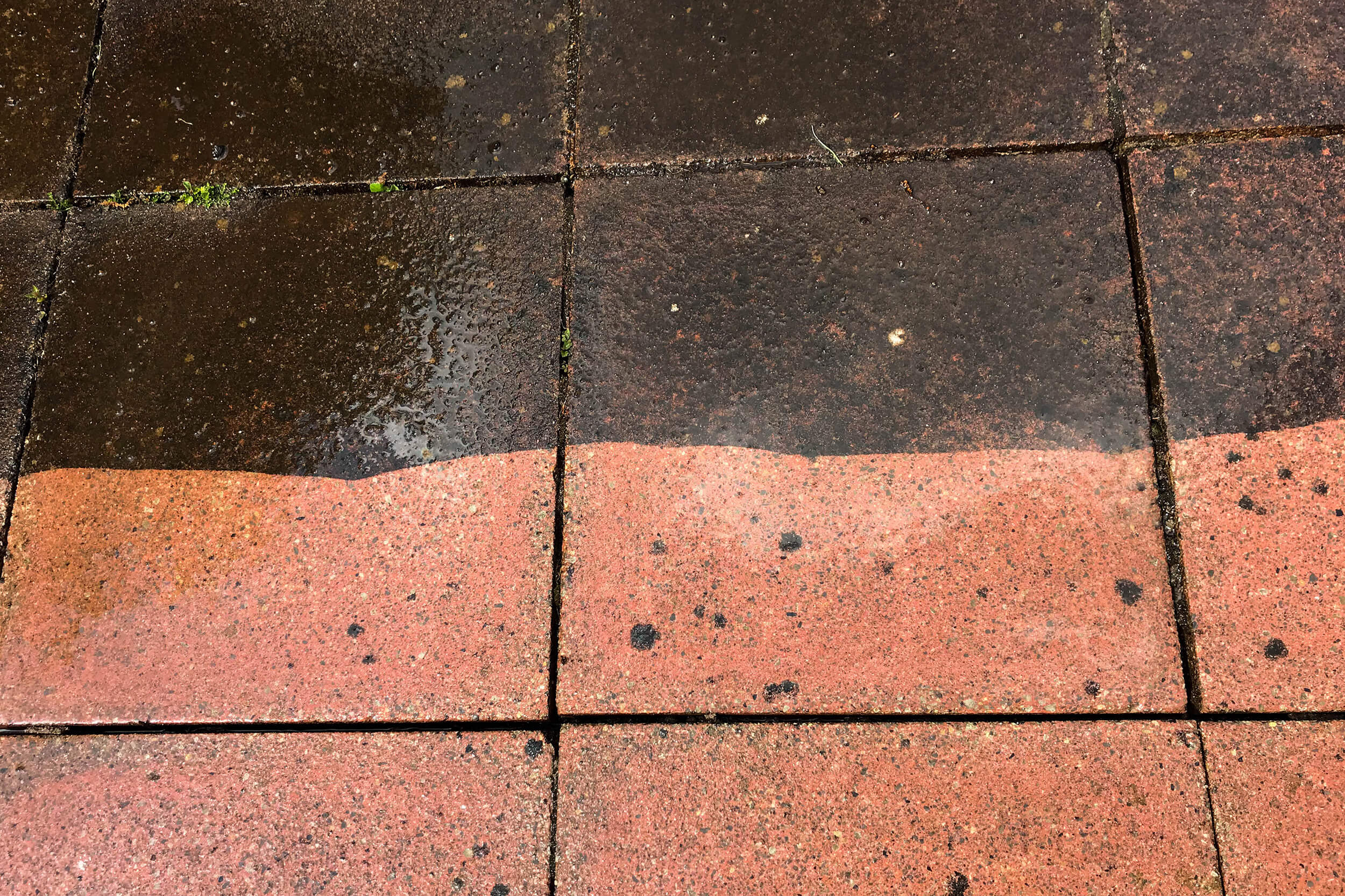 Cleaning-Liquid-&-Powder-BG